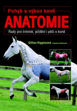 Pohyb a výkon koně Anatomie