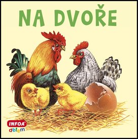 Na dvoře