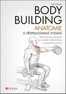 Bodybuilding Anatomie