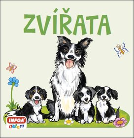 Zvířata