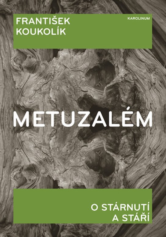 Metuzalém