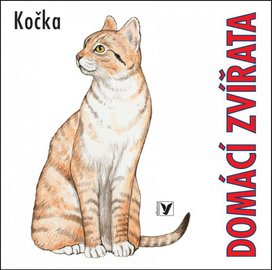 Domácí zvířata Kočka