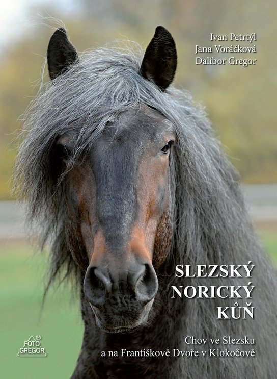 Slezský norický kůň