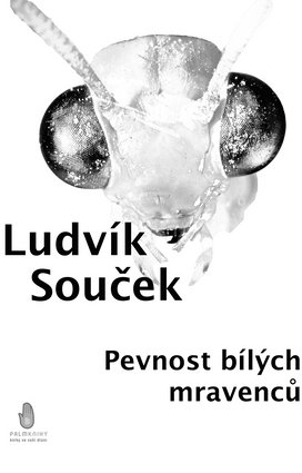 Pevnost bílých mravenců