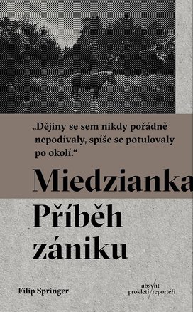 Miedzianka