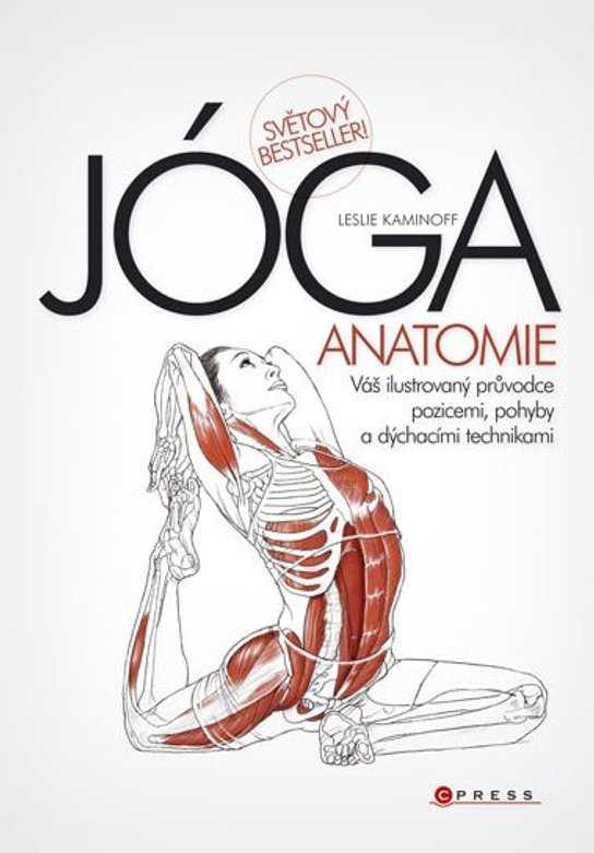 JÓGA - anatomie