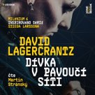Dívka v pavoučí síti