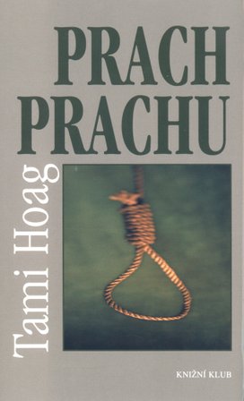 Prach prachu