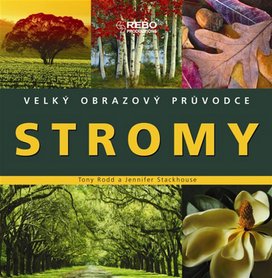 Stromy