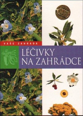 Léčivky na zahrádce