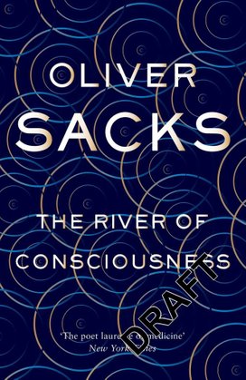 The River of Consciousness