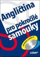 Angličtina pro pokročilé
