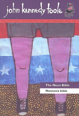 Neonová bible/ The Neon Bible