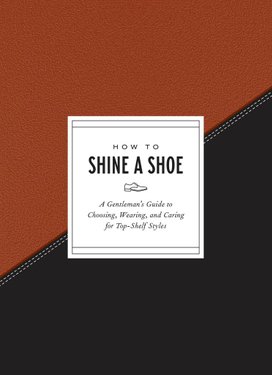 How to Shine a Shoe