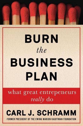 Burn the Business Plan