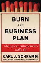 Burn the Business Plan