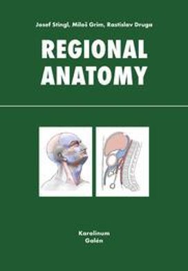 Regional anatomy