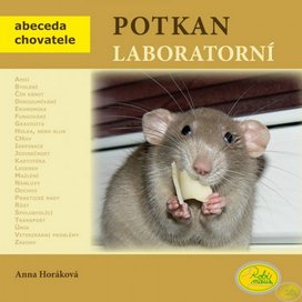 Potkan laboratorní