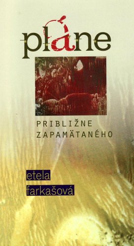 Pláne približne zapamätaného