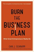Burn the Business Plan