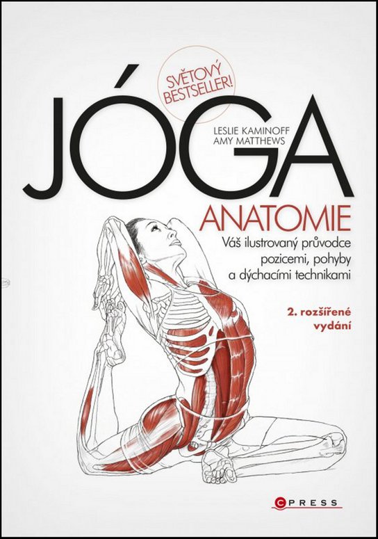 JÓGA Anatomie