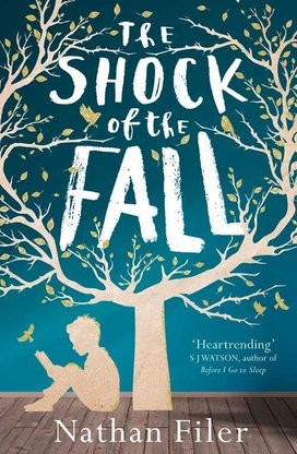 Shock of the Fall