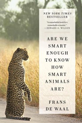 Are We Smart Enough How Smart Animals Are?