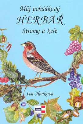 Můj pohádkový Herbář Stromy a keře