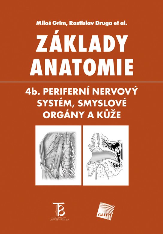 Základy anatomie 4b.