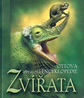 Zvířata