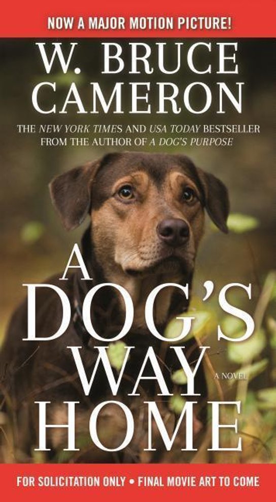 A Dog's Way Home. Movie Tie-In