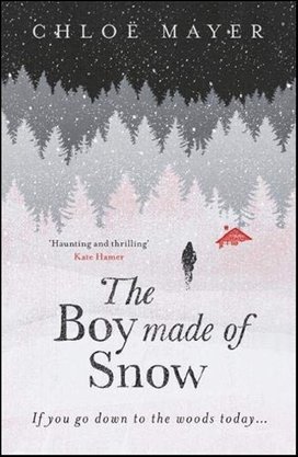 The Boy Made of Snow