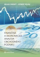 Finančná a ekonomická analýza obchodného podniku