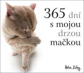 365 dní s mojou drzou mačkou
