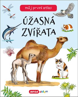 Úžasná zvířata