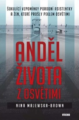 Anděl života z Osvětimi