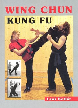 Wing Chun Kung fu