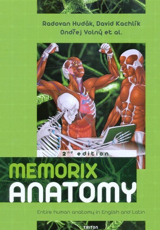 Memorix anatomy