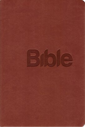 Bible 21