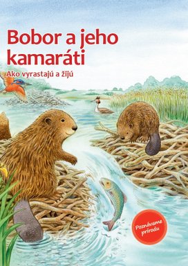 Bobor a jeho kamaráti
