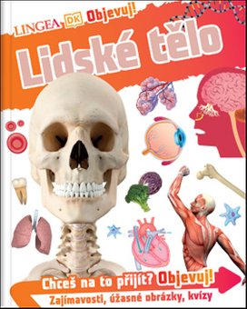 Lidské tělo