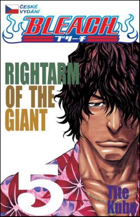 Bleach 5
