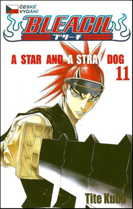 Bleach 11