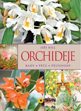 Orchideje Rady Péče Pěstování