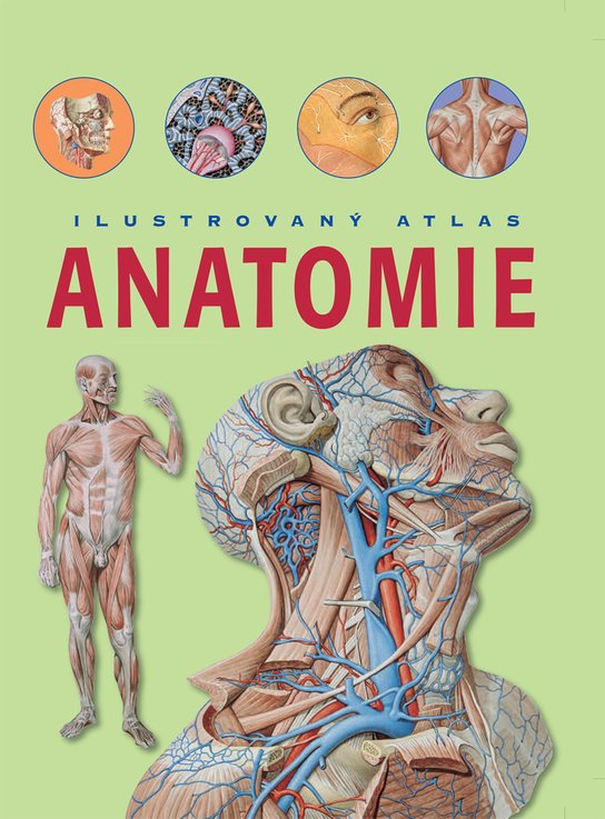 Anatomie Ilustrovaný atlas