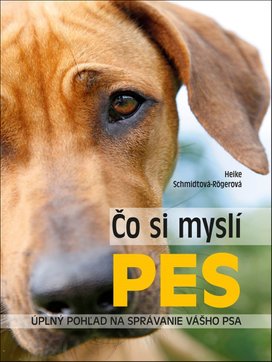 Čo si myslí pes