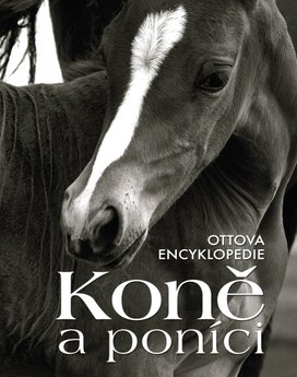 Koně a poníci