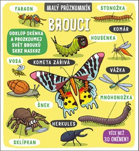 Brouci
