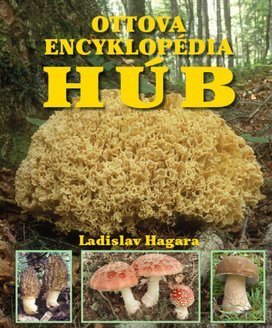Ottova encyklopédia húb