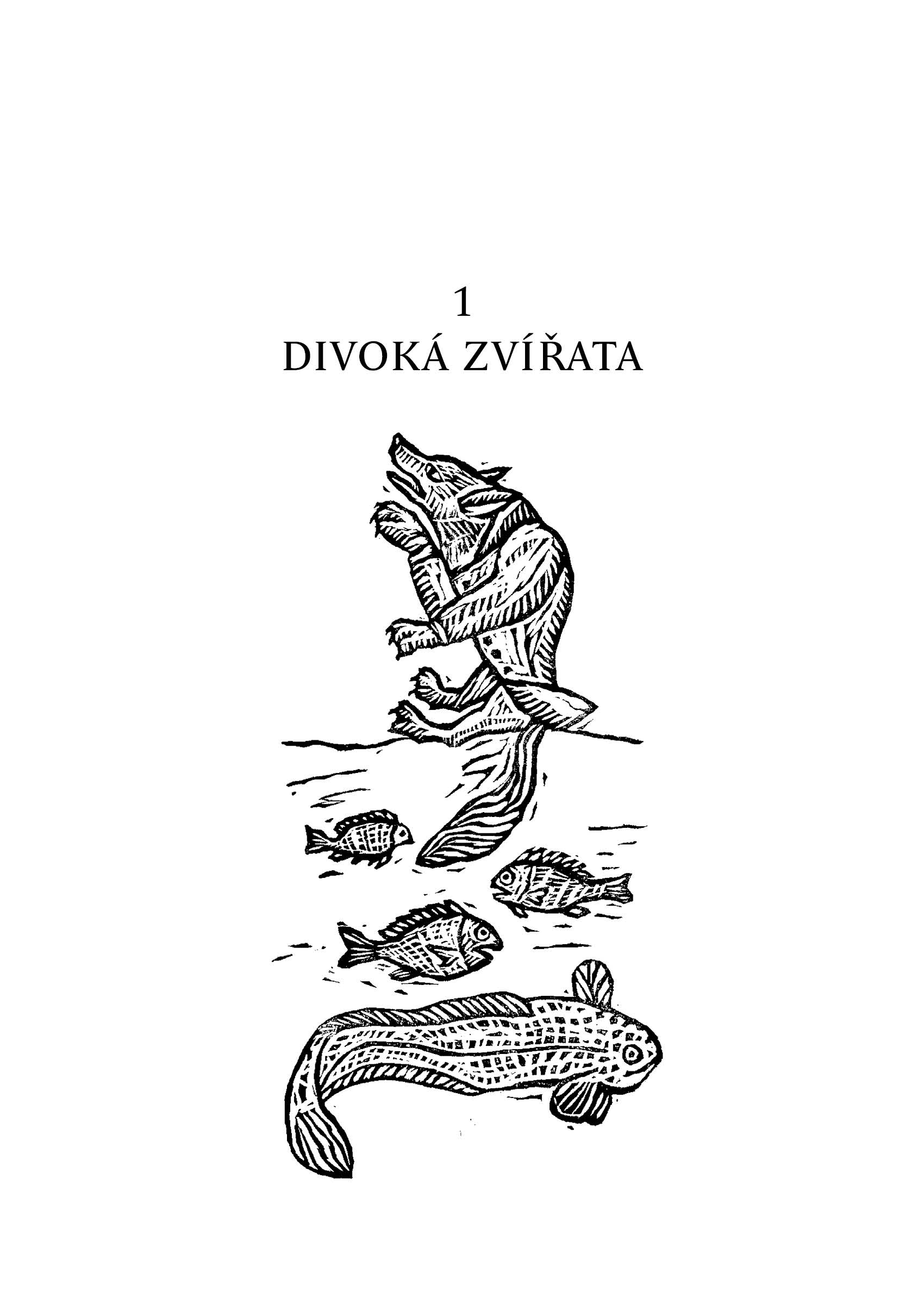 České lidové pohádky I